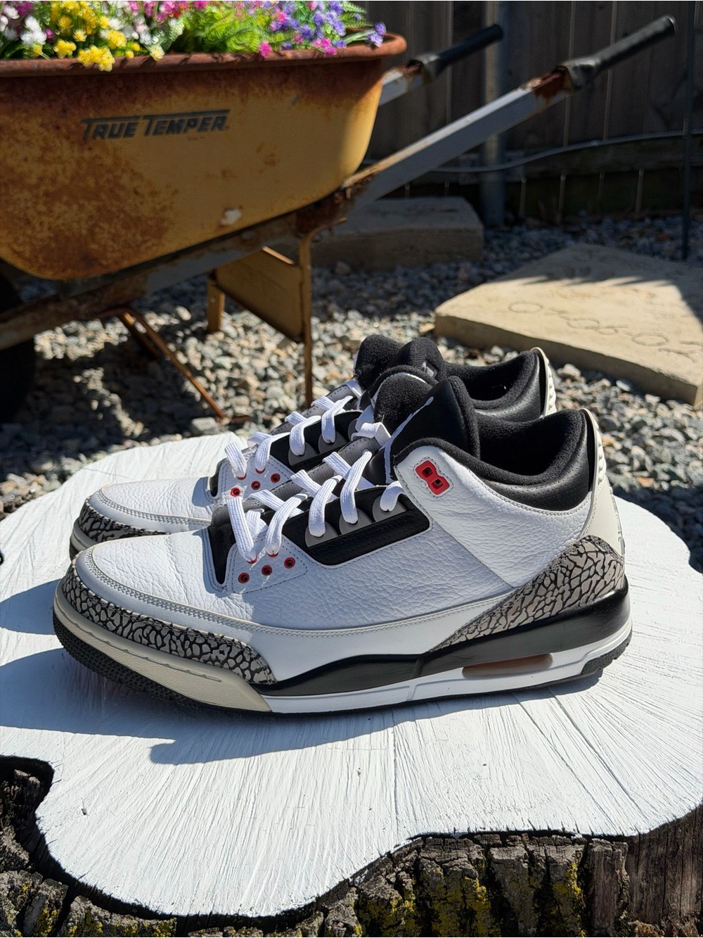 Air Jordan 3 Infared